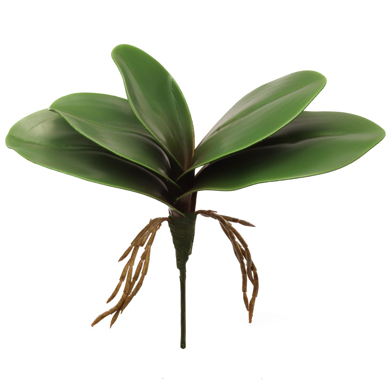 10.5" Green Phalaenopsis Leaf Cluster - Lifelike Artificial Foliage for Home Decor, Floral Arrangements, and Crafting